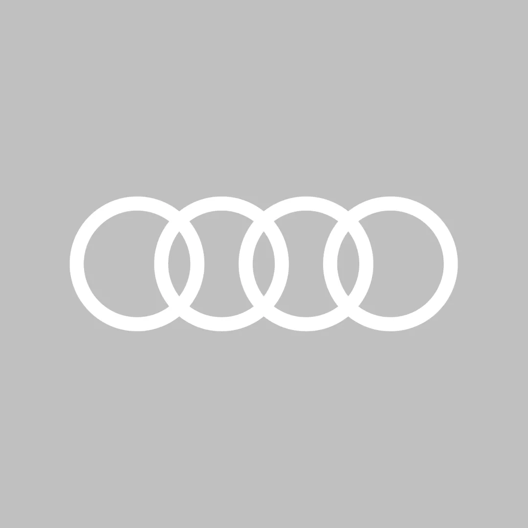 Audi RS6 (C7) Car Cover