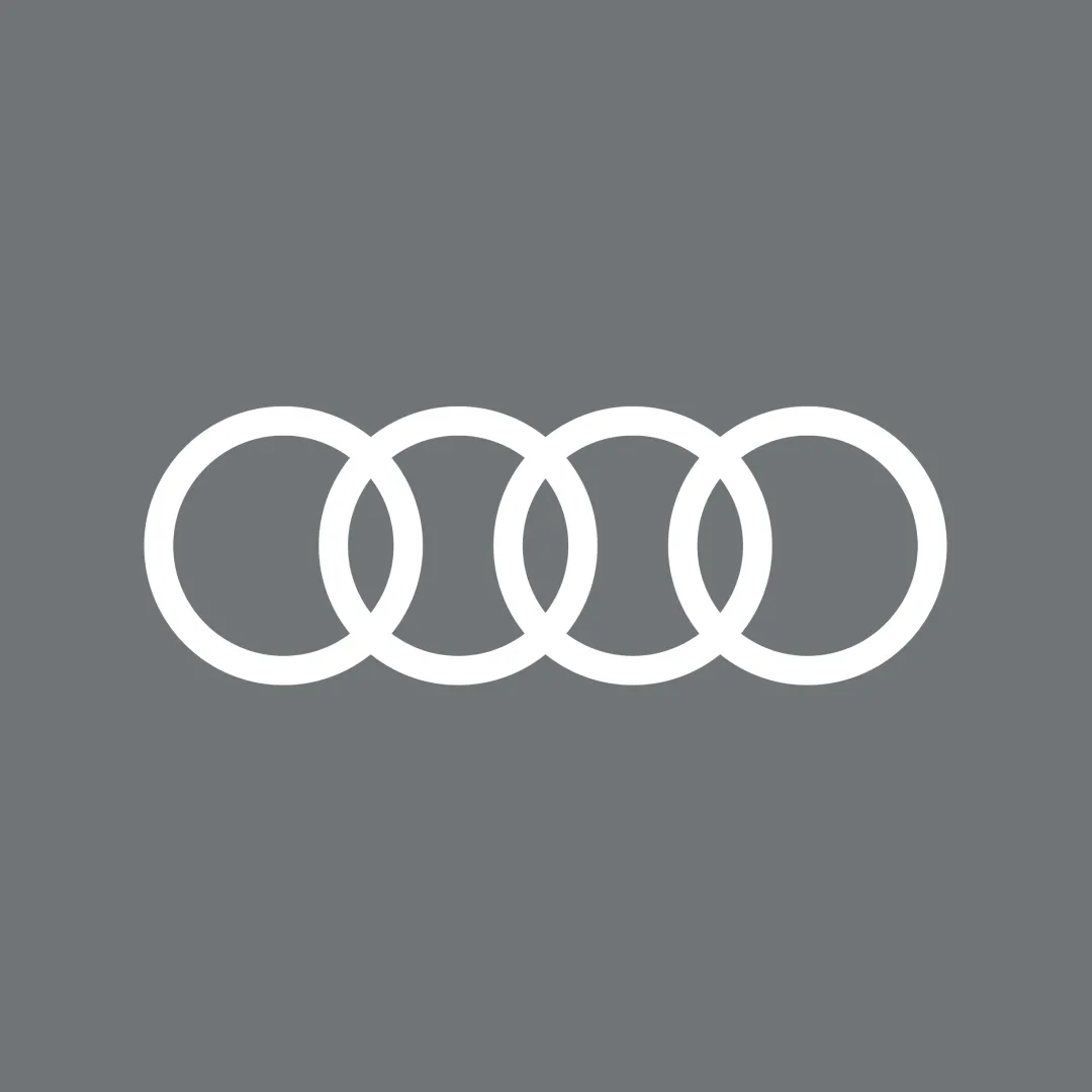 Audi RS6 (C7) Car Cover