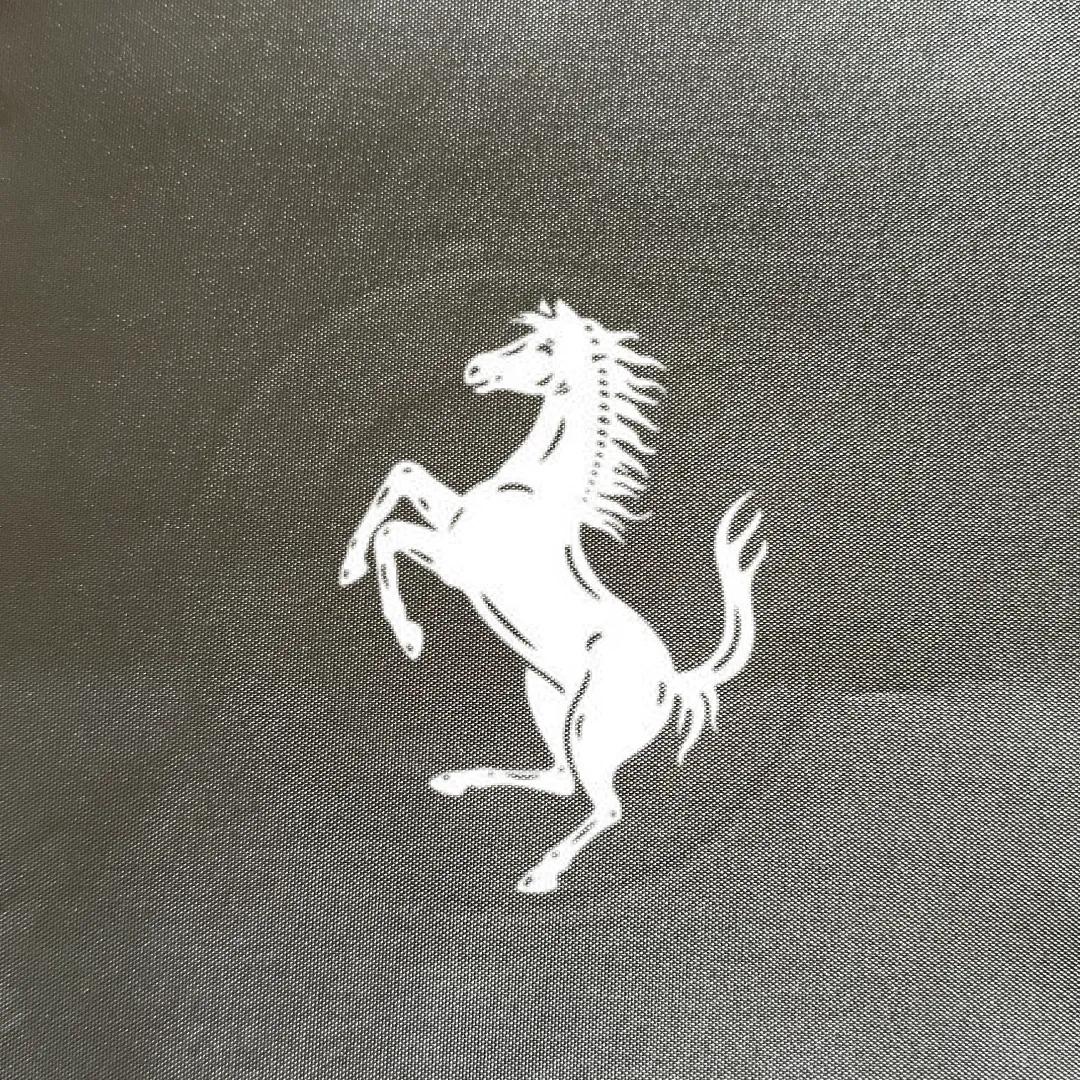Ferrari 488 Car Cover
