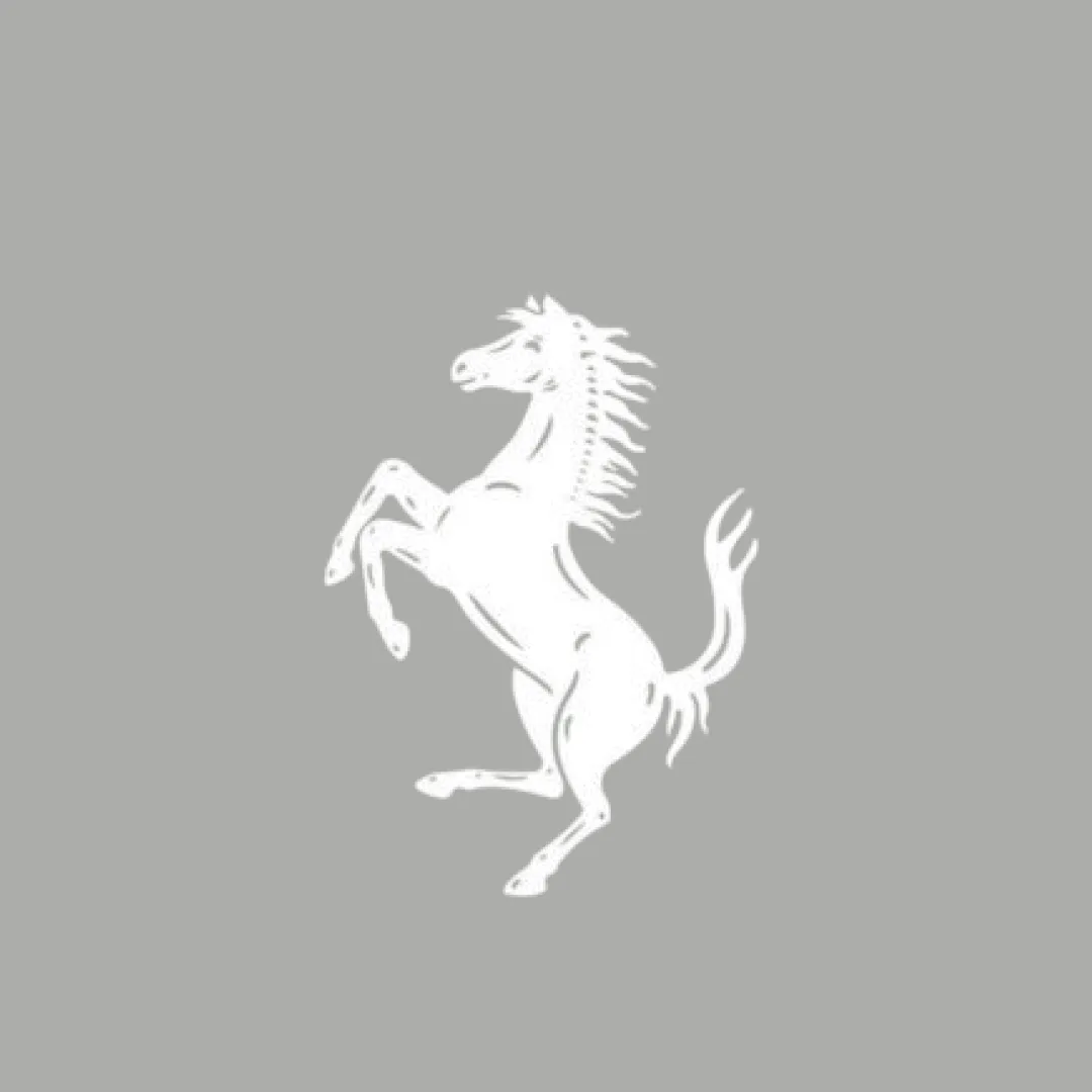 Ferrari 550 Car Cover
