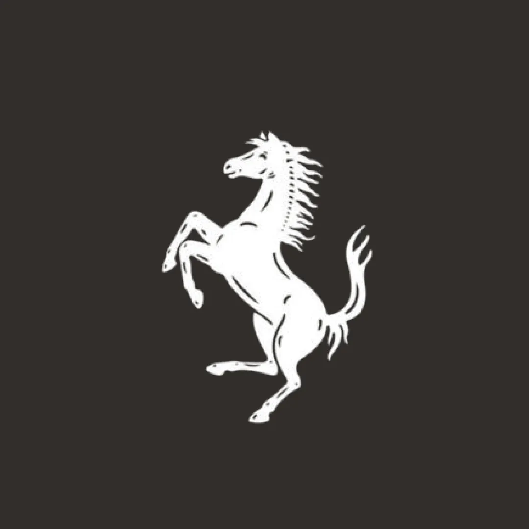 Ferrari 550 Car Cover