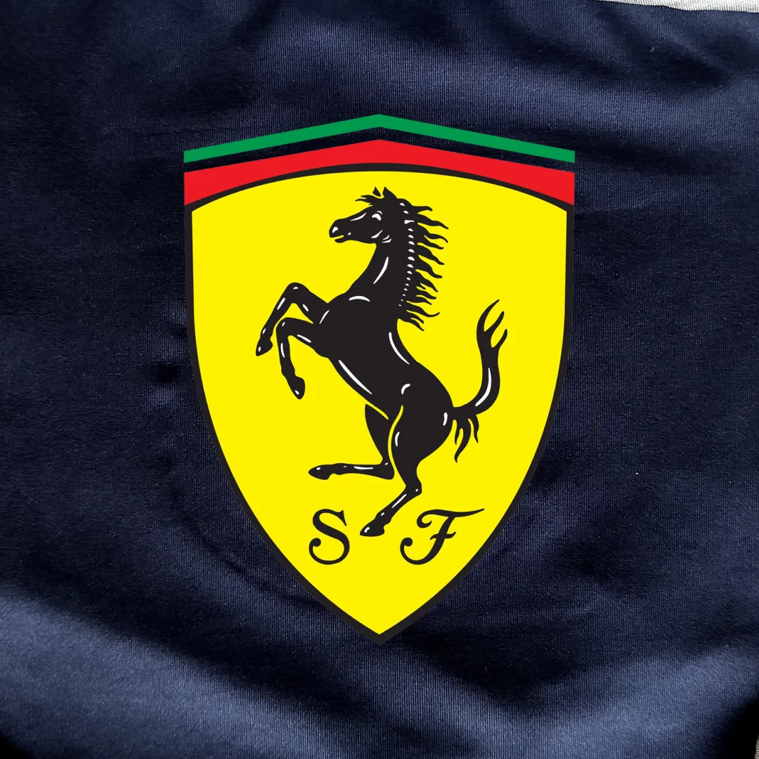 Ferrari 550 Car Cover