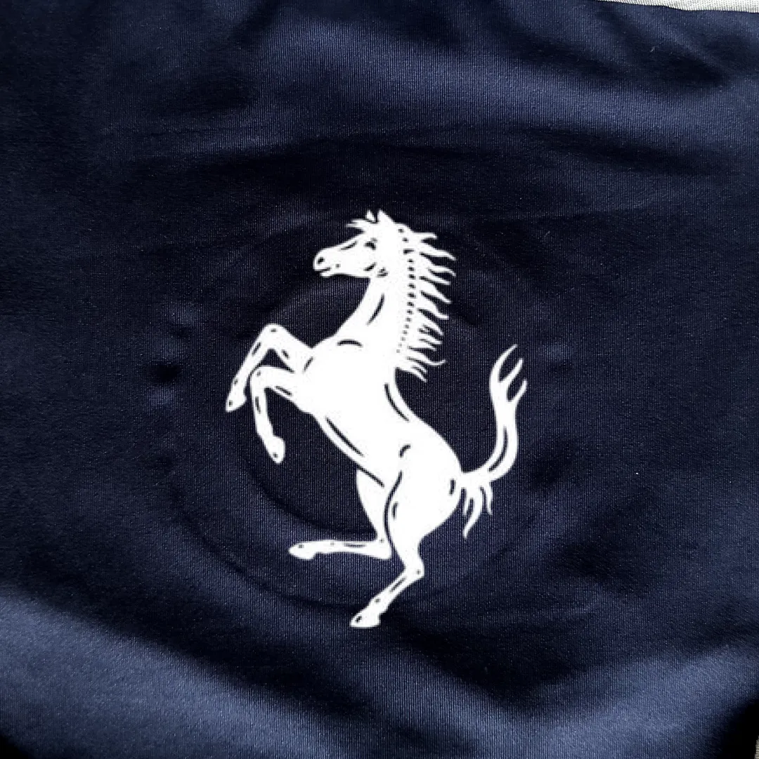 Ferrari 550 Car Cover
