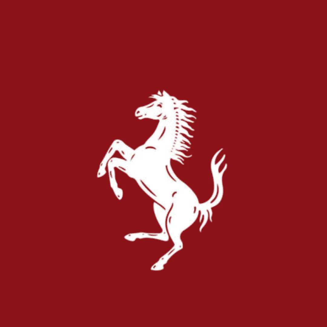 Ferrari 550 Car Cover