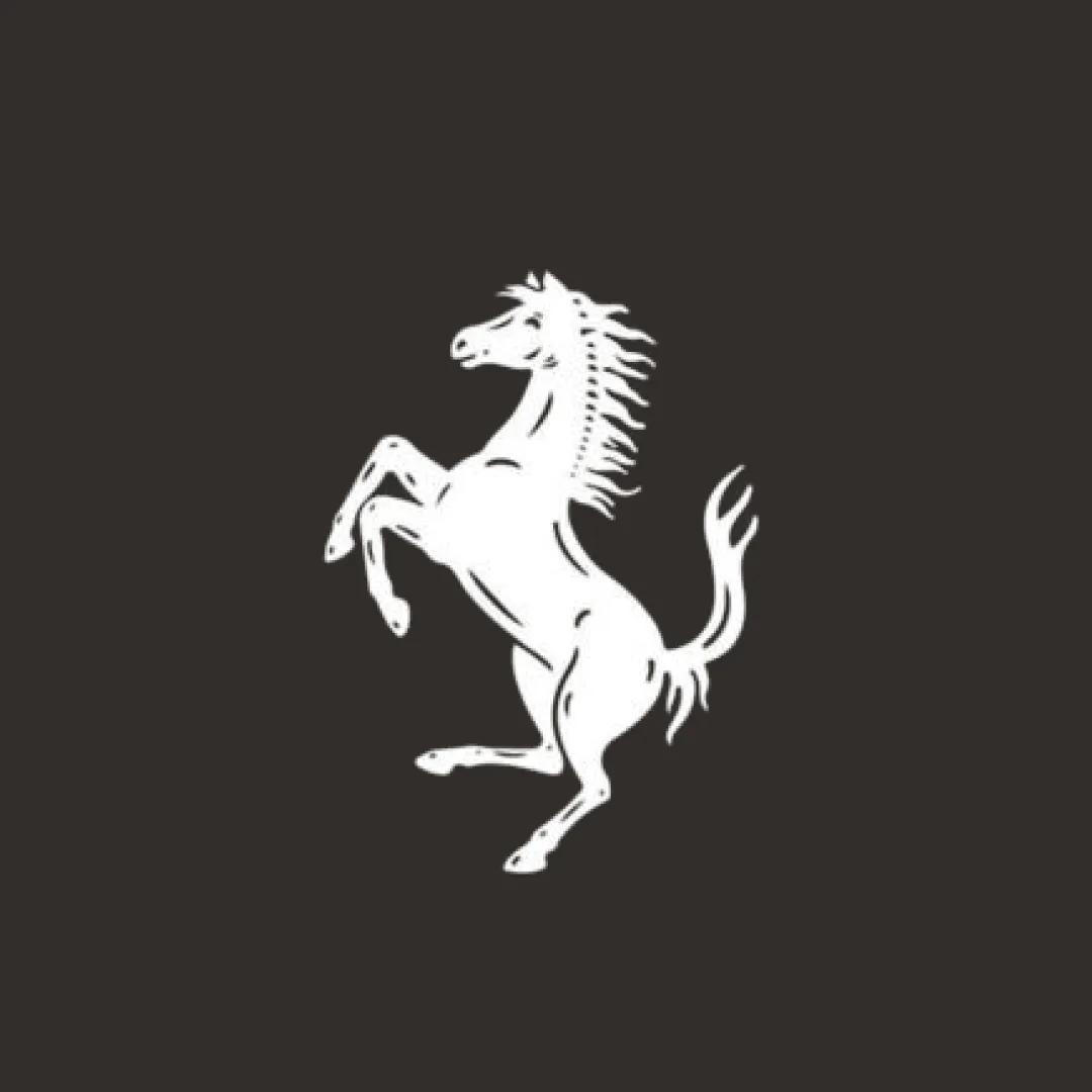Ferrari 550 Car Cover