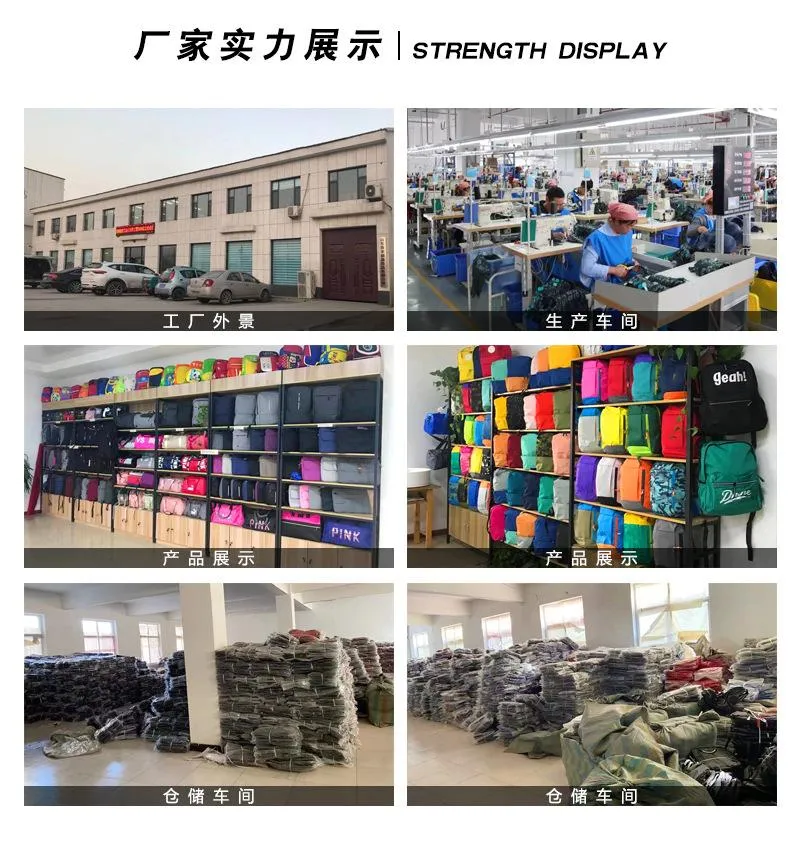 Men's Polyamides and Nylon Backpack for Travel or Business