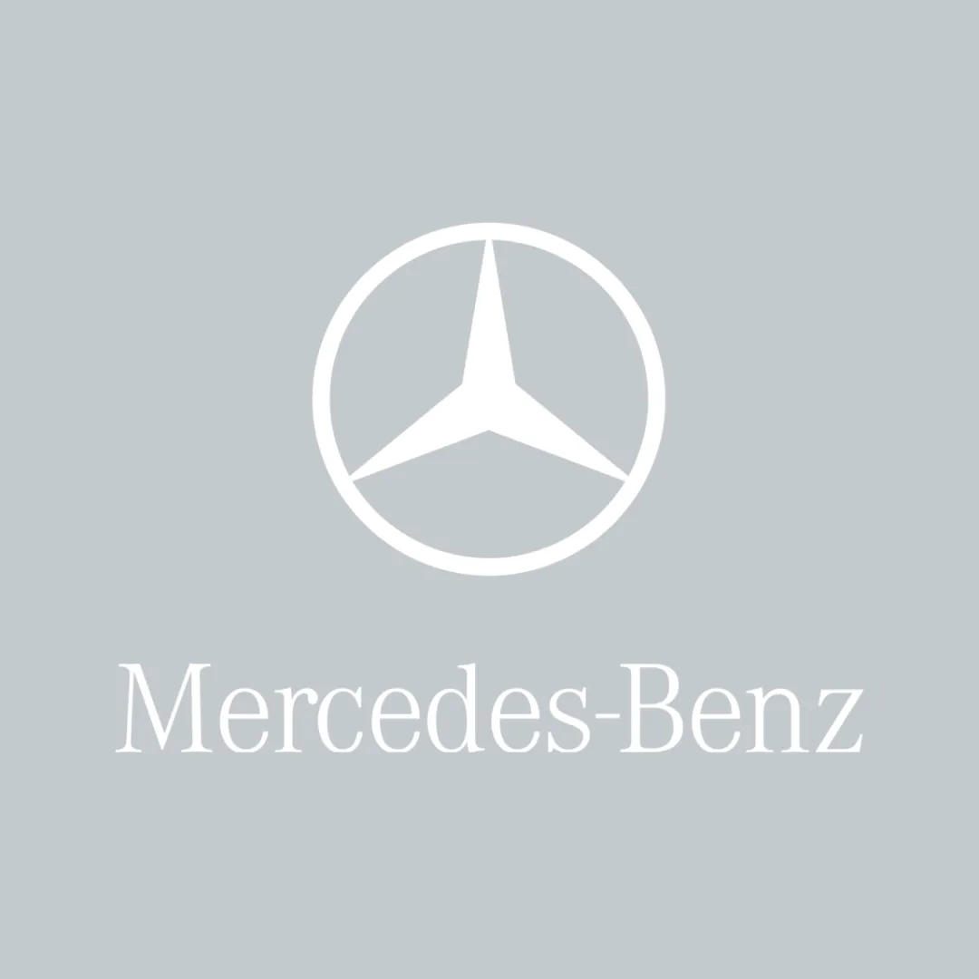 Mercedes AMG GTR Pro Car Cover