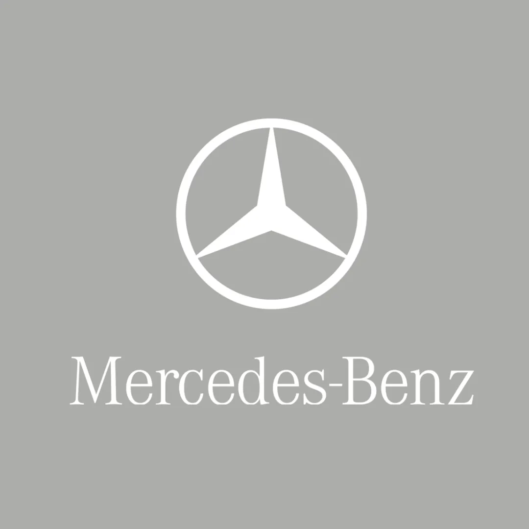 Mercedes AMG GTR Pro Car Cover