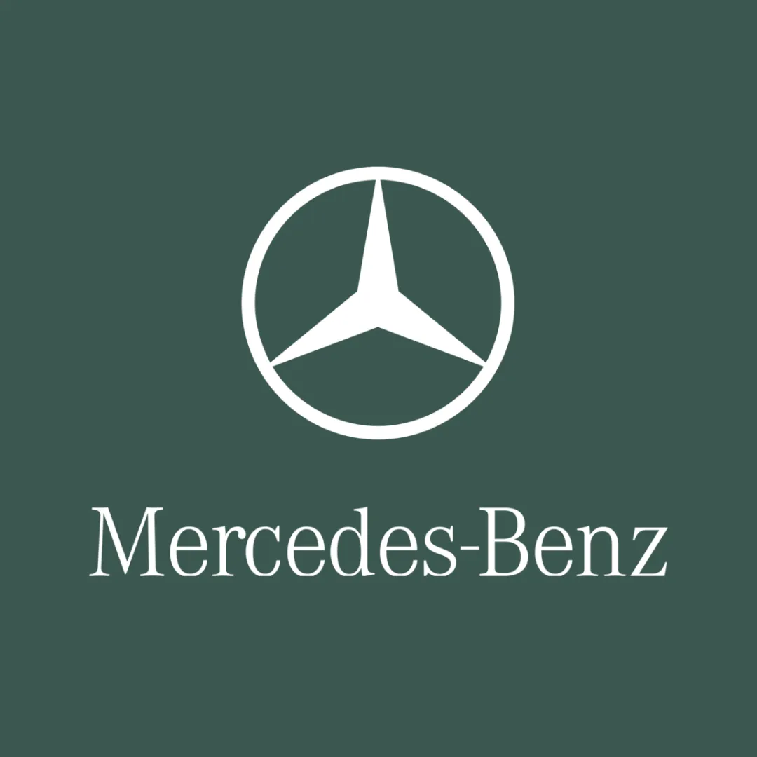 Mercedes AMG GTR Pro Car Cover