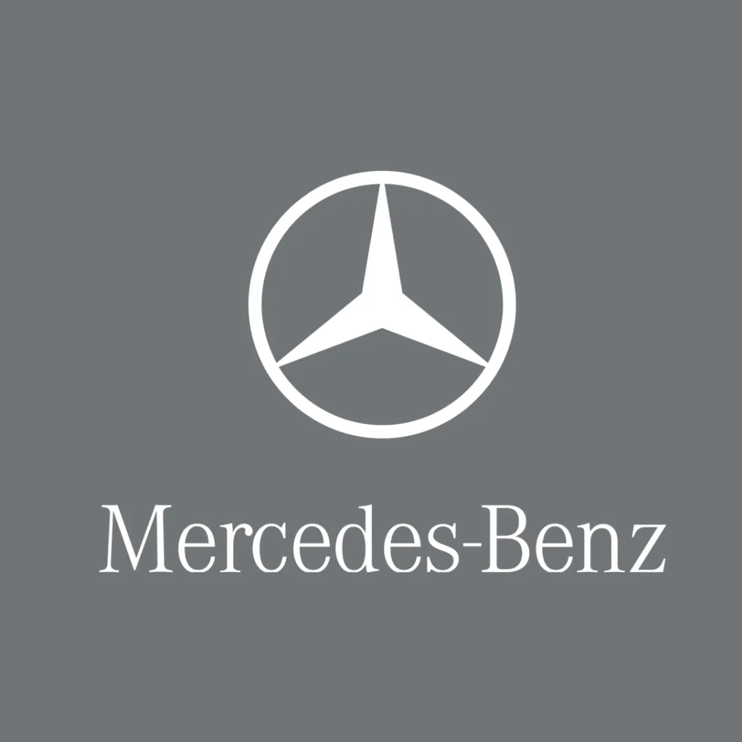 Mercedes AMG GTR Pro Car Cover