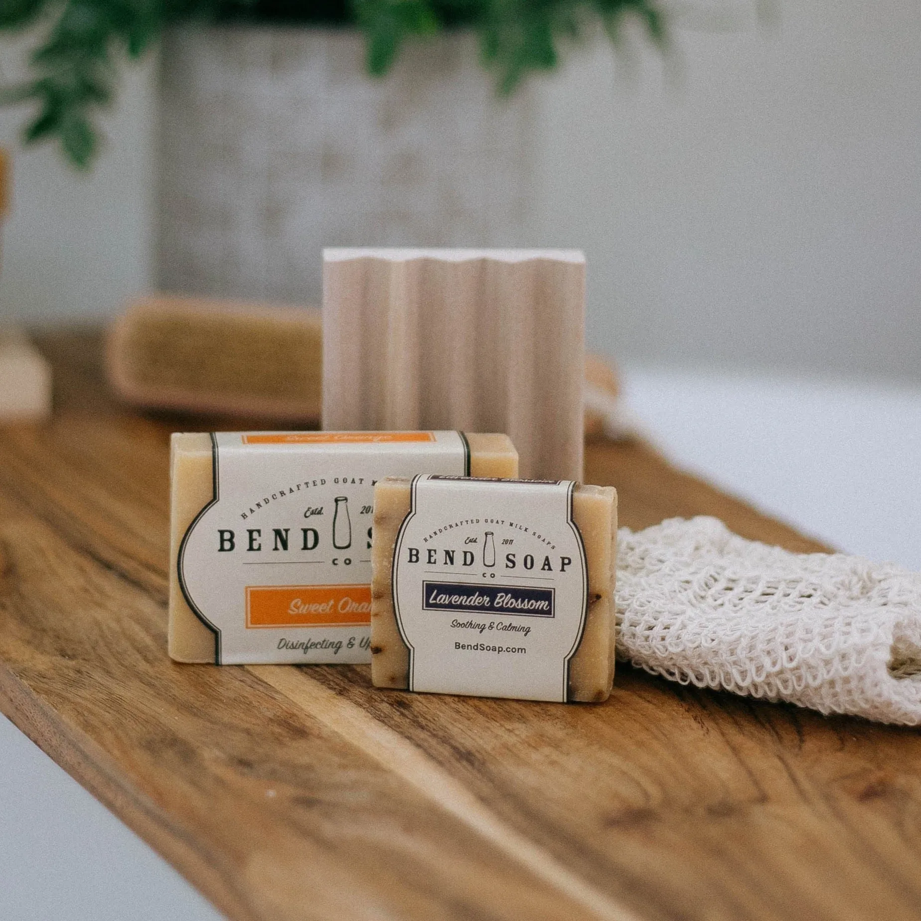 Mini Gift Bag