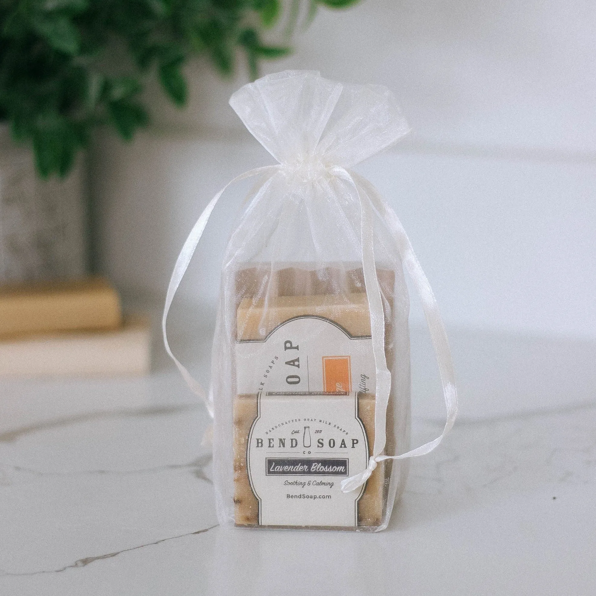 Mini Gift Bag
